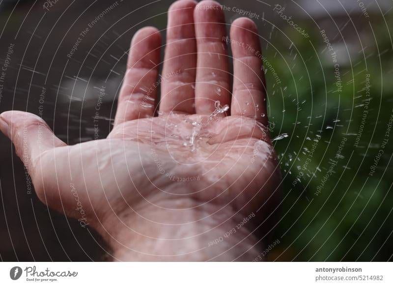 Rainfall splashing on a hand rain water clean weather environment drops falling raining pure purity wet concept closeup drips natural catching environmental