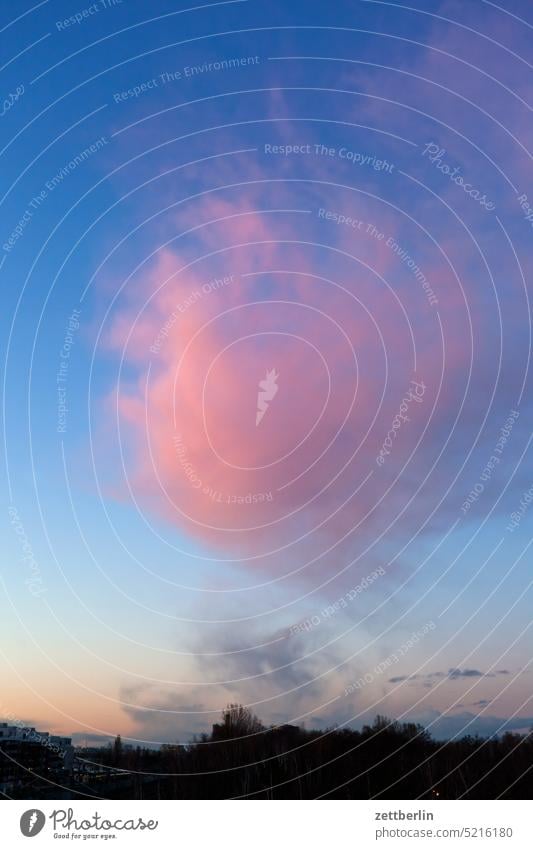 Pink cloud over the track triangle Architecture Berlin Office city Germany Twilight Worm's-eye view Building Capital city House (Residential Structure) Sky