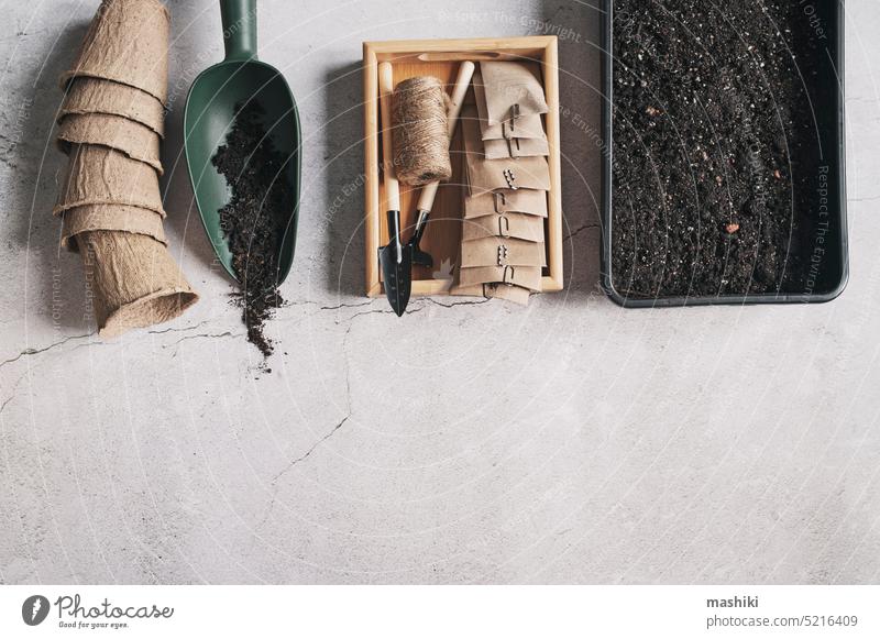 minimalistic top view shot of spring seeding preparations - tray with soil, seeds, pots on grey neutral background. Garden aesthetic. agriculture table seedling