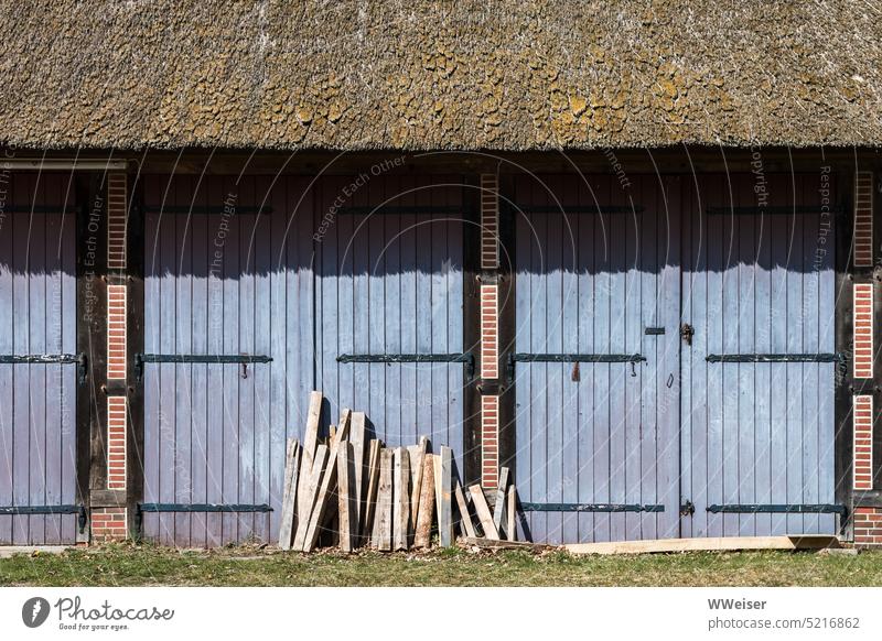 In front of a blue barn with thatched roof stand wooden slats Barn Wood Material Ajar Facade Building Manmade structures Reet roof Historic traditionally Sun