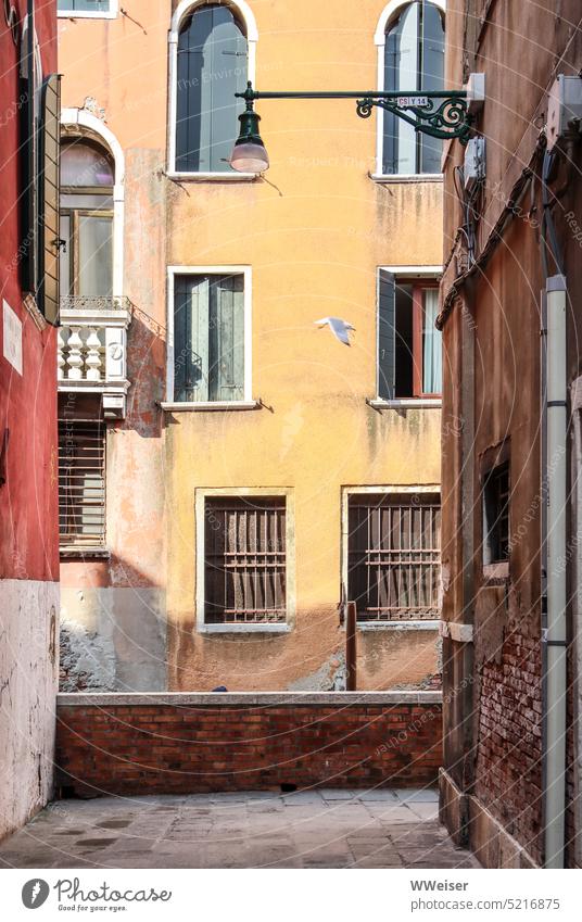 A typical Venetian dead end: there's another little canal up ahead Venice No through road variegated Street Alley Channel House (Residential Structure) Facade