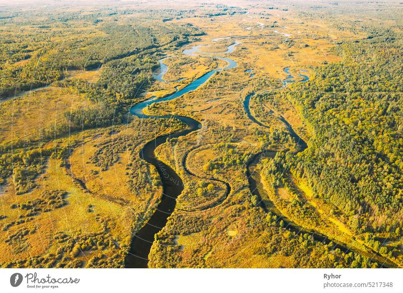 Aerial View Green Forest Woods And River Landscape In Sunny Summer Day. Top View Of Beautiful European Nature From High Attitude In Summer Season. Drone View. Bird's Eye View