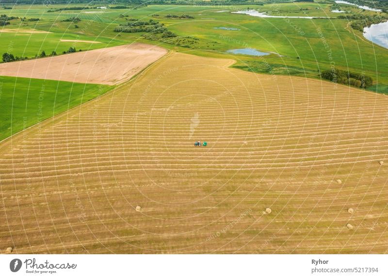 Aerial View Tractor Collects Dry Grass In Straw Bales In Wheat Field. Special Agricultural Equipment. Hay Bales, Hay Making. Agricultural Machinery Cereal Plant