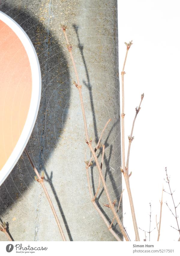 Shadow play of infrastructure Infrastructure Road sign Abstract Material Concrete Structures and shapes Light and shadow shadow cast buds Contrast Growth