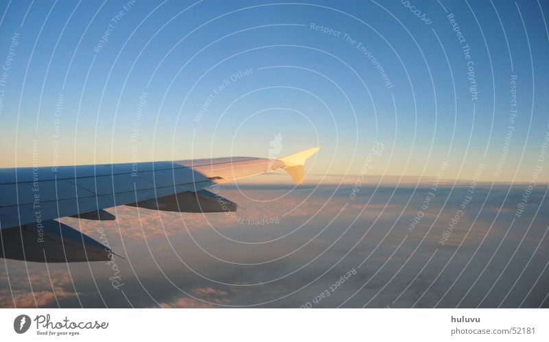 away Clouds Vacation & Travel Airplane Dusk Wing tip Flying Sky Evening