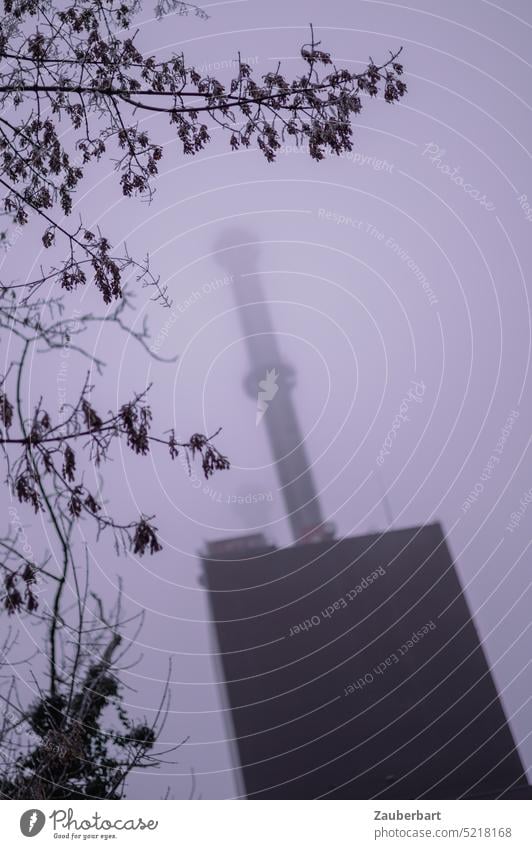 Branches, behind tower of cogeneration plant in fog Twig Tower Chimney Thermal power station Block Heat cogeneration of heat and power somber blurred