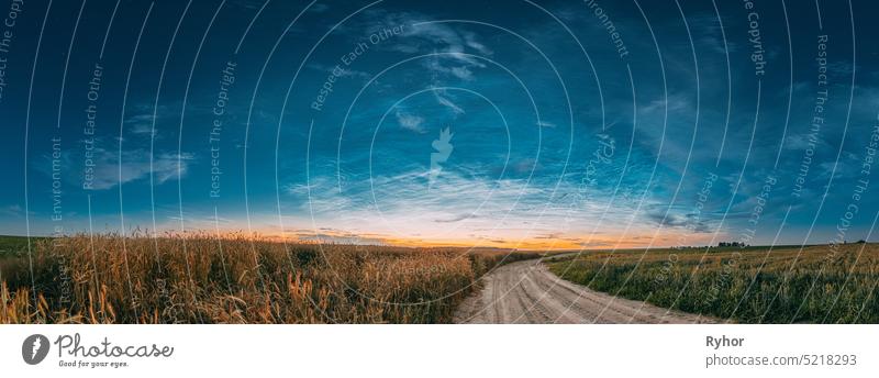 Night Starry Sky With Glowing Stars Above Countryside Landscape. Noctilucent Clouds Above Rural Field With Young Rye And Wheat And Country Road In Summer. Panorama, Panoramic View