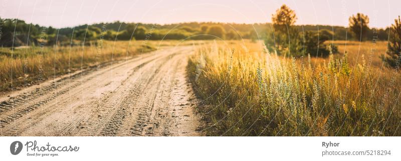 Countryside Road Through Field Landscape. Country Road In Autumn Field In Sunny Evening beautiful bright copy space countryside field greenery horizon land