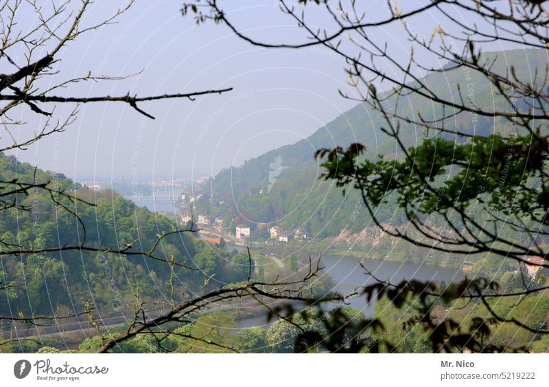 Neckar near Heidelberg River Neckar valley Germany City trip Vacation & Travel Trip Tourism Panorama (View) Landscape Nature Hill Environment Branches and twigs