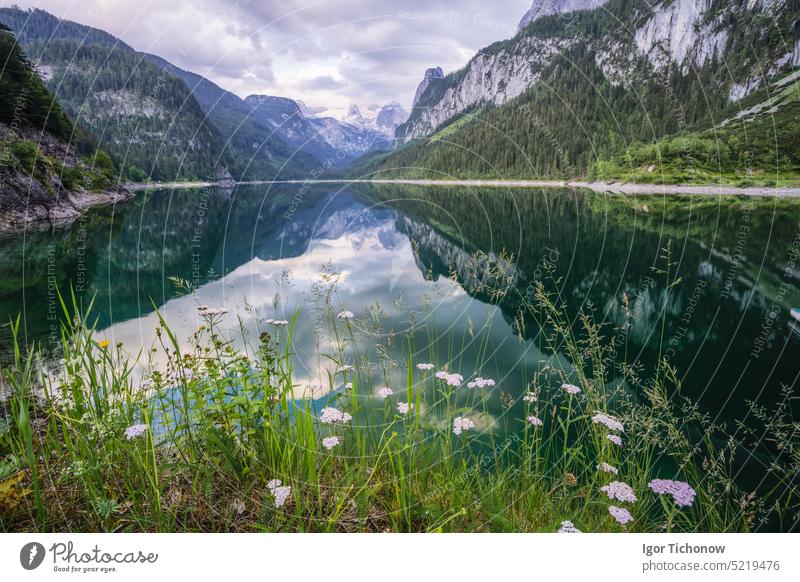 Beautiful mountain Gosau lake and Dachstein peaks, Austria austria dachstein gosau mountains nature landscape travel alps water view tourism reflection outdoor