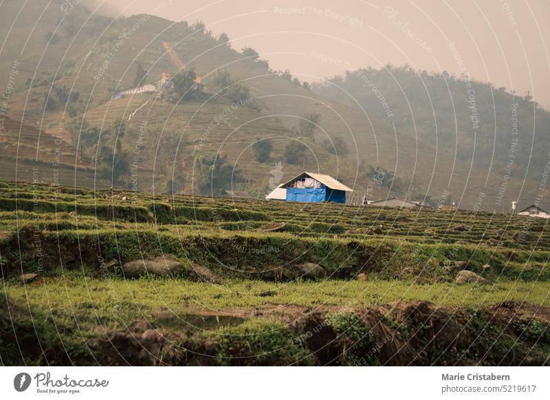 An old cottage in the middle of a rice terraces field in Ha giang Vietnam showing the candid daily life, cottagecore, sustainable rural life and slow living