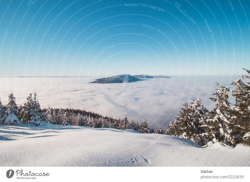 Mountainsides of the Beskydy region in the Czech Republic are sinking into a thick white inversion rising from the cities. Winter fairytale scenery in central Europe