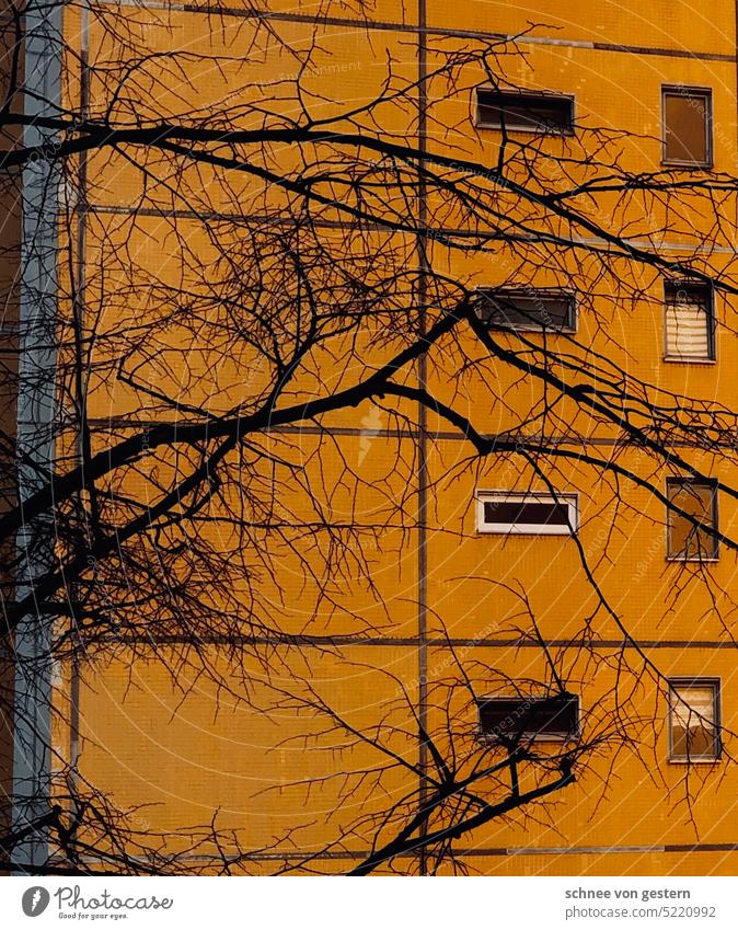 Even more apartments for Dutch High-rise Architecture Town Building Sky Skyline Worm's-eye view Manmade structures Colour photo Clouds Window Facade Day