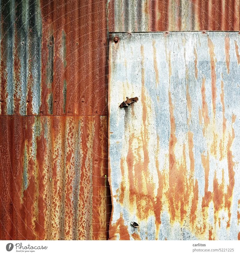 A rolling stone gathers no moss | Sheet metal wall à la Wellington Corrugated sheet iron wave Tin Rust rusty Old Metal Transience Structures and shapes Abstract