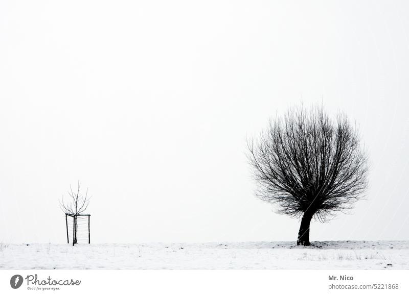 "Someday I'll grow up too " chill snow-covered winter unattached snowy Cold idyllically Winter walk Winter's day Winter mood silent winter landscape White Snow