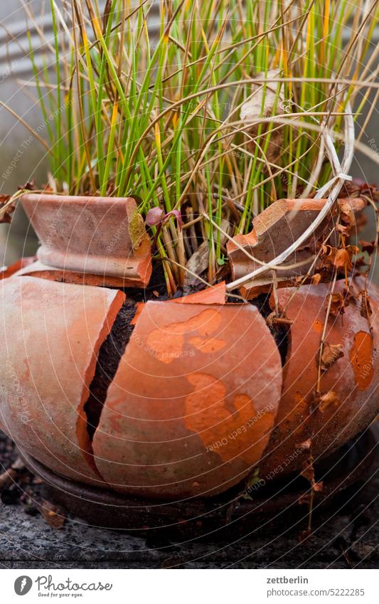 Winter damage Pot Flowerpot Broken jump Damage frost damage Shard Pottery Spring spring Garden allotment Garden plot Holiday season Low season Pot plant Terrace