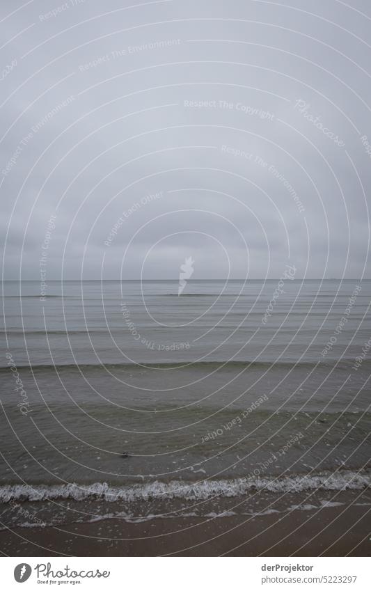 Calm Baltic Sea in brown and gray on Rügen III Winter mood Winter vacation Panorama (View) Light Day Copy Space middle Multicoloured Structures and shapes