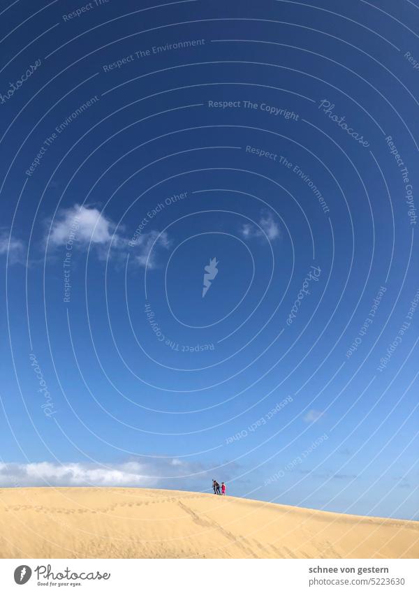 Probably two people walking through desert Desert Beach dune Camel Sky Colour photo Vacation & Travel Dromedary Warmth Shadow Adventure Tourism Sand Safari Trip