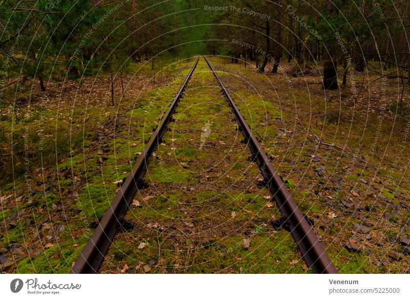 old railway track near Berlin in Germany Track track bed rails railroad iron rust railway sleepers Forest woods tree trees railroad tracks railway tracks