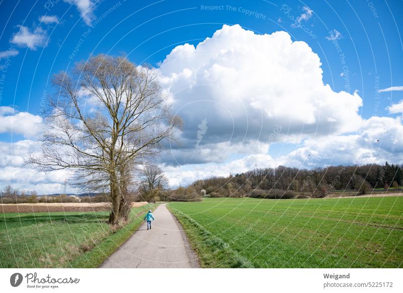 Little child walking on a dirt road through green meadows in spring weather and blue cloudy sky with forest in the distance off the beaten track Nature