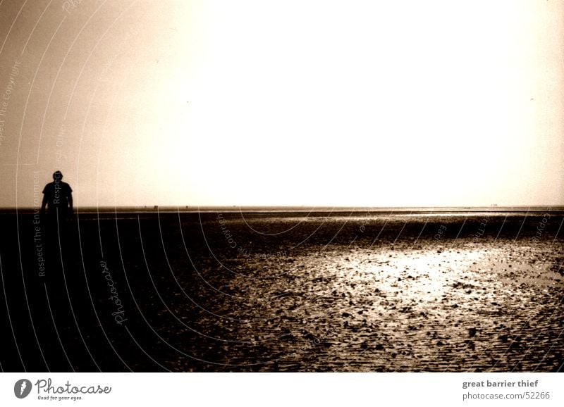 somewhere Colour photo Exterior shot Day Contrast Reflection Rear view Looking away Trip Far-off places Summer Summer vacation Sun Beach Ocean Human being Man