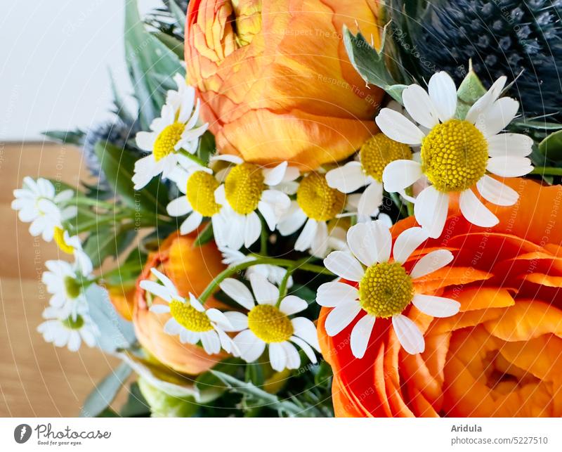 Bouquet of flowers | close up Diesteln leaves Blossom Flower romantic Decoration Wedding Gift Ostrich Ranunculus Orange Valentine's Day Birthday Mother's Day