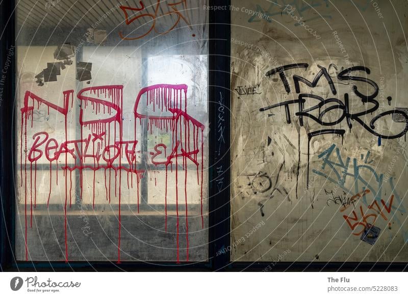 transparency Window Graffiti Train station Light Shadow Deserted Exterior shot Colour photo dirt frowzy smudged Dirty Old lost places Decline Transience