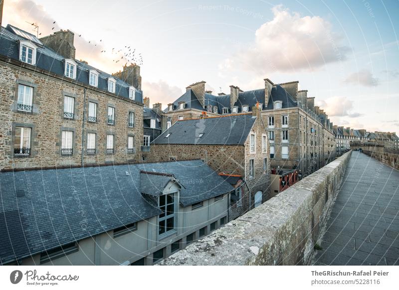 Row of houses with wall in foreground and flock of birds Wall (barrier) Town France travel Tourism Brittany Vacation & Travel Landscape Exterior shot Sky