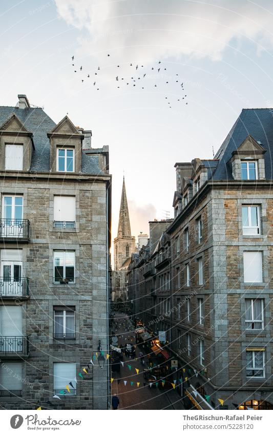 Houses with church and birds in the sky Wall (barrier) Town France travel Tourism Brittany Vacation & Travel Landscape Exterior shot Sky Deserted Saint-Malo