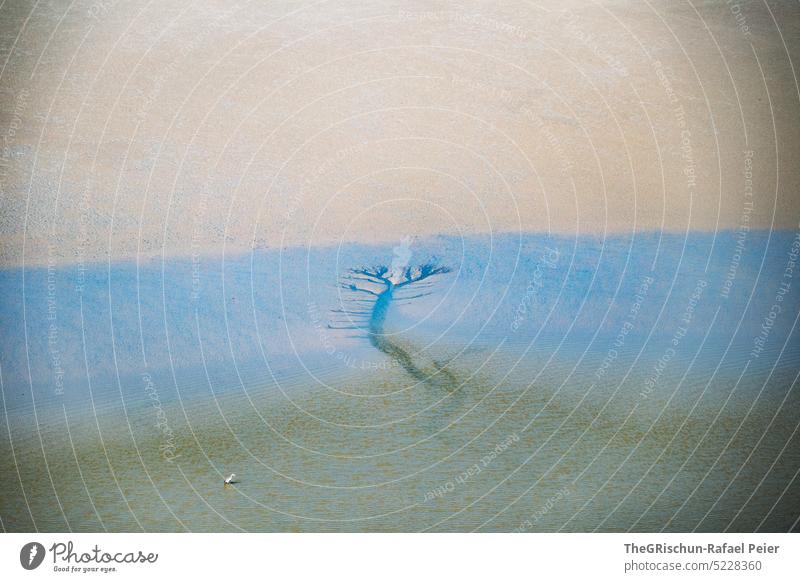 Sand water pattern from above Water Pattern Structures and shapes Ocean salt water structure Blue Green Wind