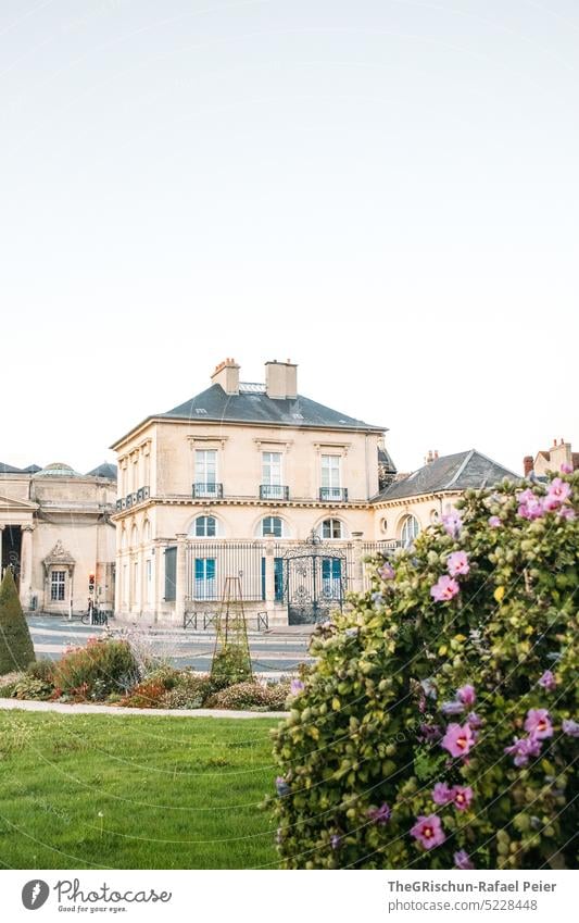 Flowers in front of building - CAEN - France caen Town Architecture Tourist Attraction Tourism Exterior shot Vacation & Travel Downtown Manmade structures