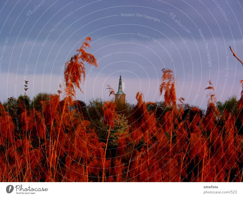 Teltow near Berlin Teltow-Fläming district Church. Reed. evening