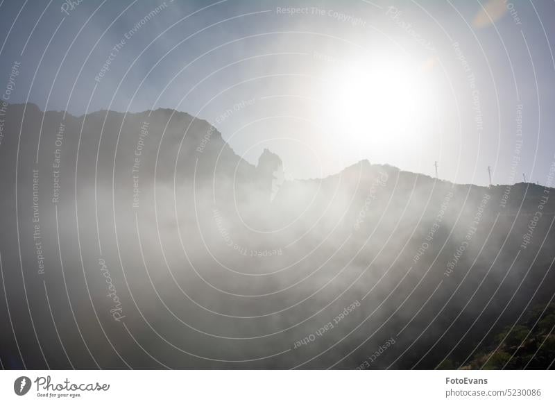 Fog in the mountains of Tenerife in Spain high nature day background early haze Canary Islands tree mountain range island dreamlike foggy vacation