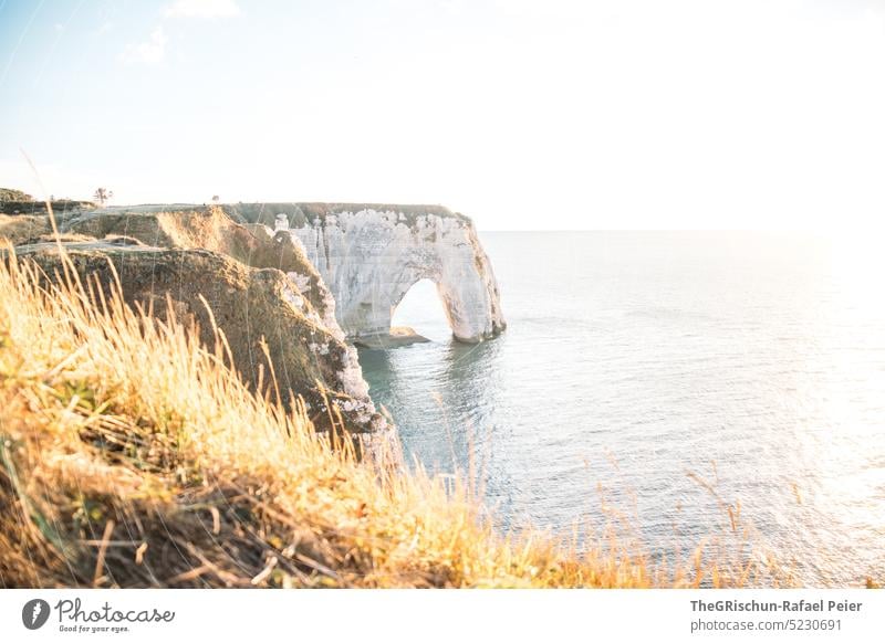 Coast with rocks and sea in sunset Pebble beach France Normandie Étretat Moody evening mood Clouds Ocean Rock cliffs Landscape Nature coast Exterior shot