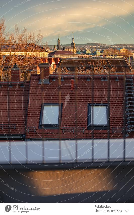 #A0# sunny Dresden Sunlight Sunset dresden-neustadt Dresden Old Town roofs Dresden Hofkirche evening mood