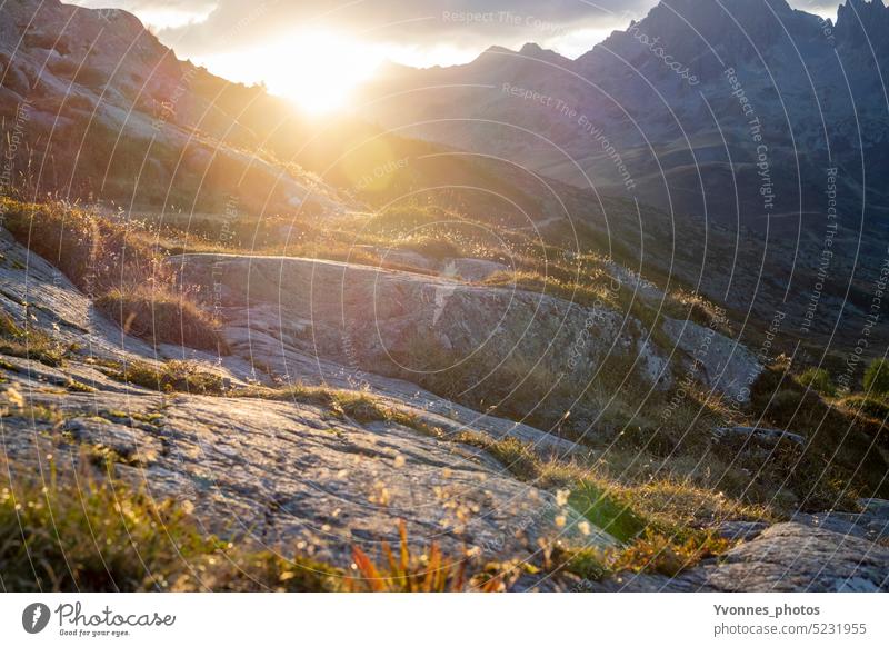 Sunset on the mountain Light Flare Nature Mountain Back-light Landscape Alps Moody Mood lighting Lens flare Sunlight Exterior shot Sunrise Deserted Evening