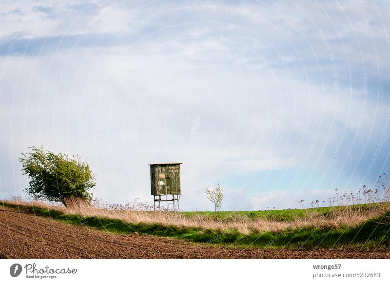 High seat stands in field and meadow Hunting Blind hide hunting pulpit Field and meadow acre Magdeburg Börde Horizon Sky Exterior shot Colour photo Deserted