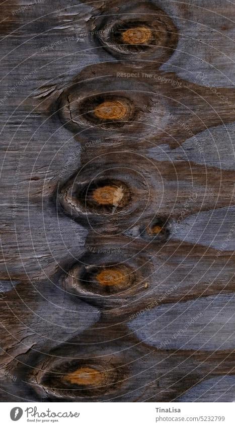 wood grain Wood grain wood sample Pattern grained eyeballed Brown wood color Structures and shapes Detail Weathered naturally Subdued colour Colour photo