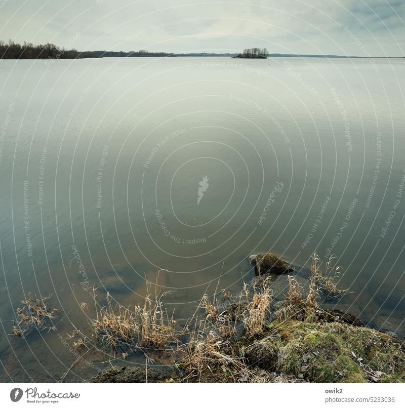 bird island Lake Lakeside Reservoir Long shot Day Subdued colour Island Far-off places Idyll Wanderlust Longing Panorama (View) Stone Calm Serene Infinity Large