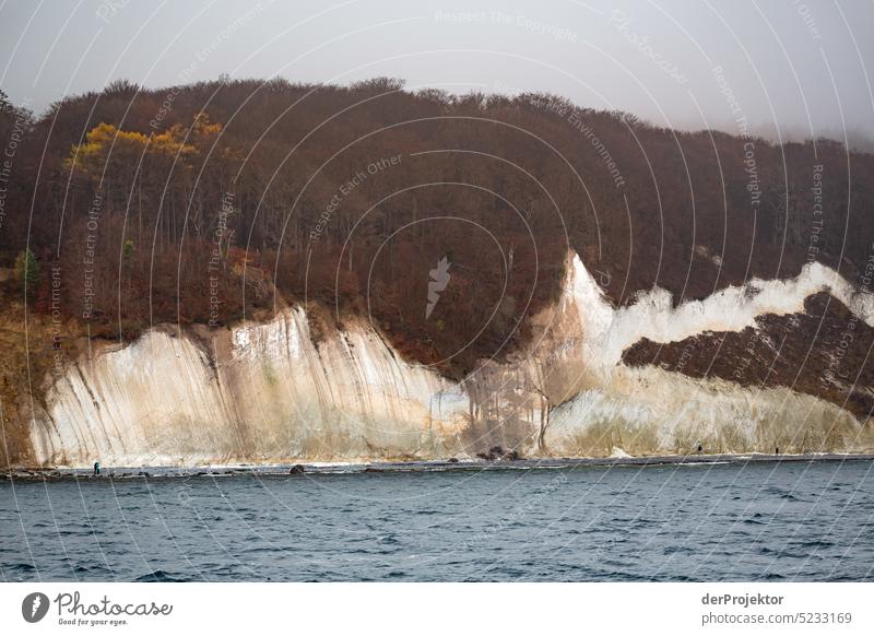 Winter with chalk cliffs on the island of Rügen Winter mood Winter vacation Panorama (View) Light Day Copy Space middle Multicoloured Structures and shapes