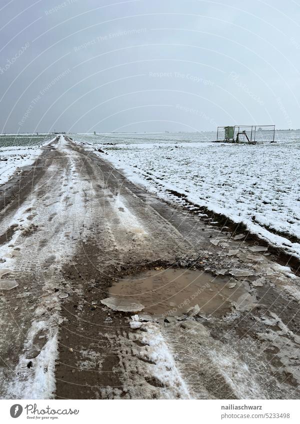 winter landscape Winter Winter mood Landscape Snow Field bleak desolateness somber Nature Street Lanes & trails Horizon Germany Snowscape Far-off places