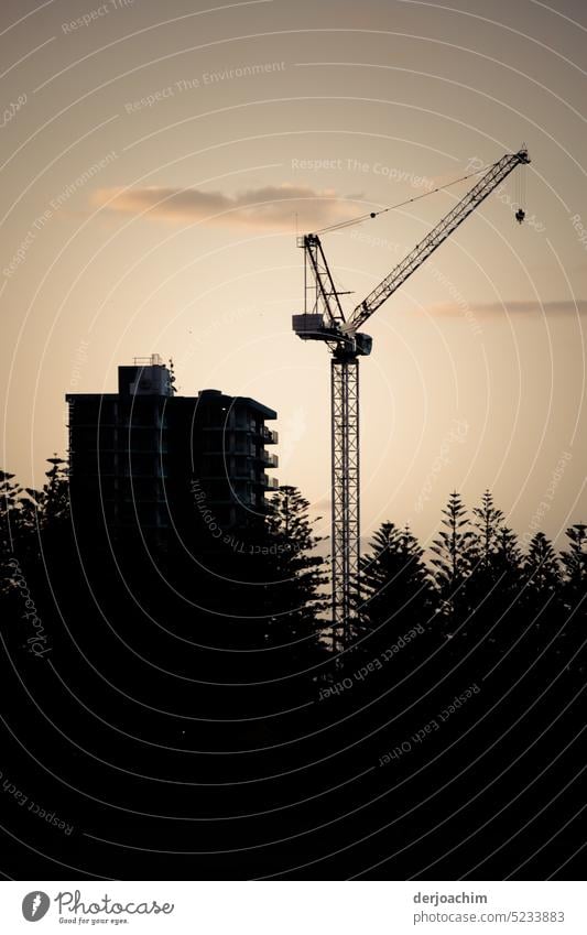 Construction crane and skyscraper in evening light. Evening Sky Nature Deserted Dusk evening mood tranquillity Idyll Twilight Landscape Exterior shot Sunset