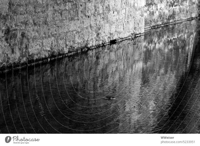 Under the bridge the water flows slowly, a drop causes circles on the surface Water Surface silent Calm tranquillity Stone River Bridge Channel Bridge pier Old