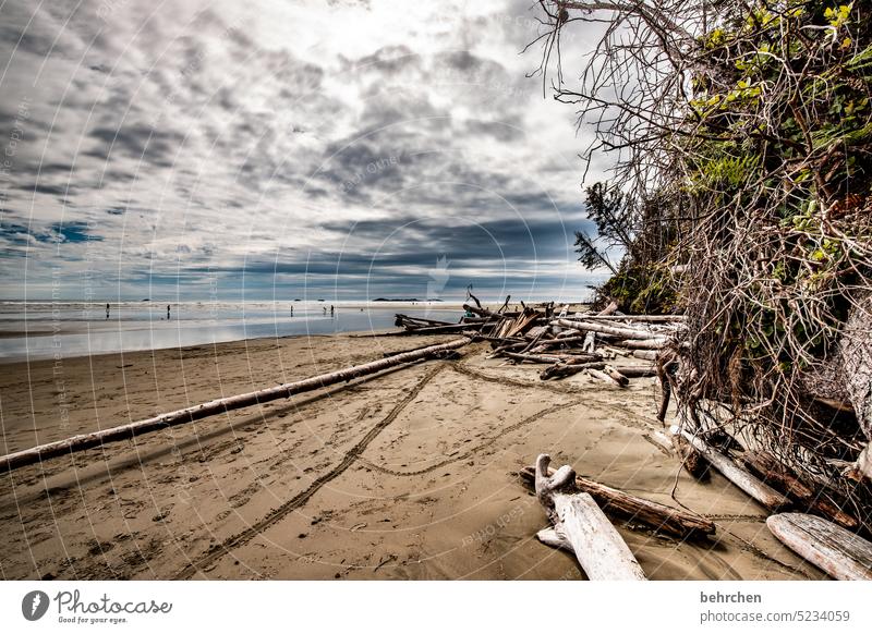 flotsam and jetsam British Columbia Long Beach Vancouver Island Canada North America especially Fantastic Lonely Loneliness Far-off places Adventure Water