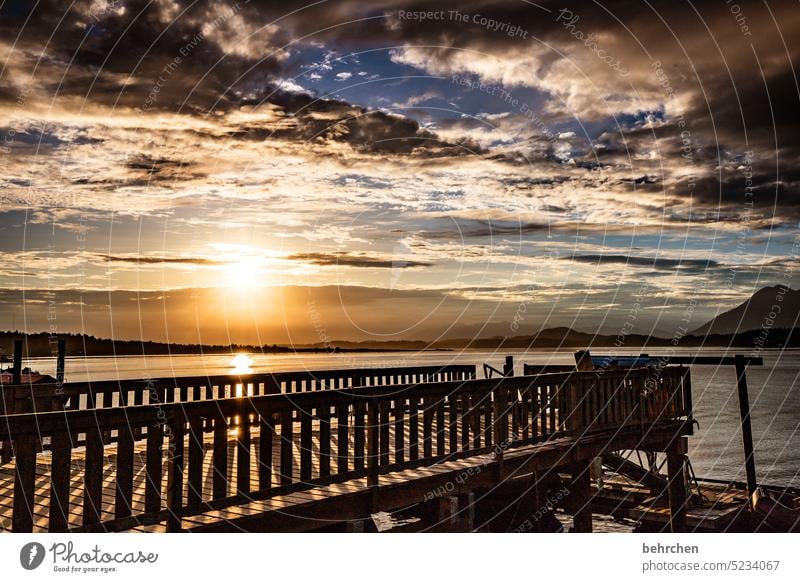 sometimes it gets romantic Shadow Twilight Sunlight beautifully Mountain Footbridge Vancouver Island Ocean Longing silent Peaceful Sky wide Far-off places