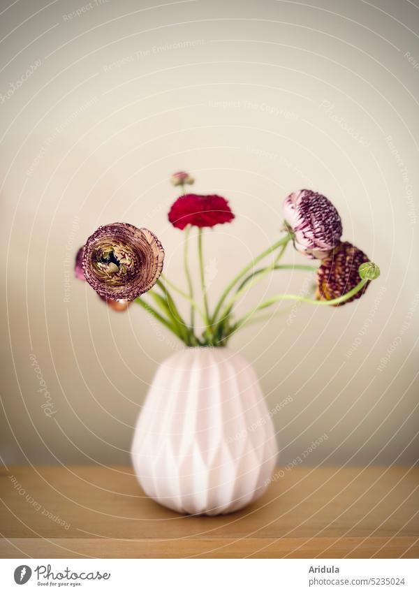 Colorful ranunculus in pink vase No. 2 Ranunculus variegated Bouquet Spring Flower Blossom flowers Pink Decoration pretty Vase Interior shot Shelves