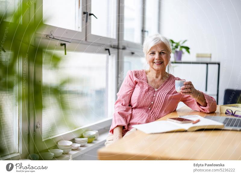 Portrait of smiling mature businesswoman working in an office real people senior indoors loft window home mature adult one person attractive successful