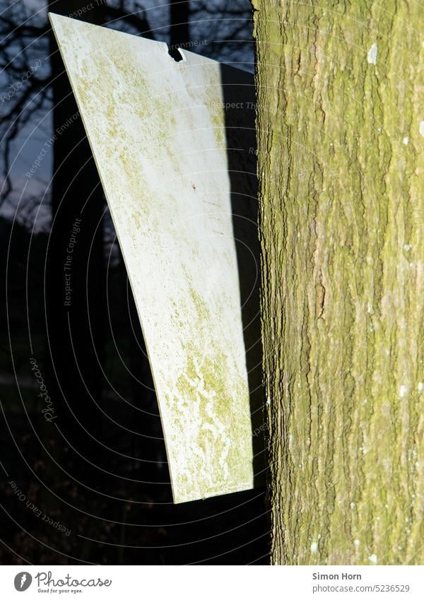 old sign on a tree Road marking Direction path Signs and labeling Lanes & trails bark Green Patina Orientation slanting Structures and shapes Forest Tracks