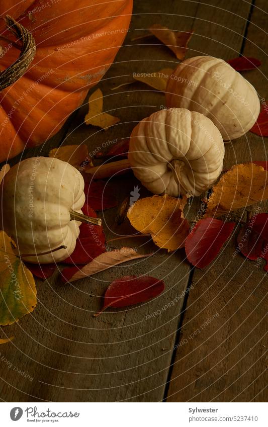 Colorful pumpkins vegetable orange cooking food fresh home cooking preparation healthy two pumpkin halves seasonal Yellow Vegetable ornamental pumpkin wooden