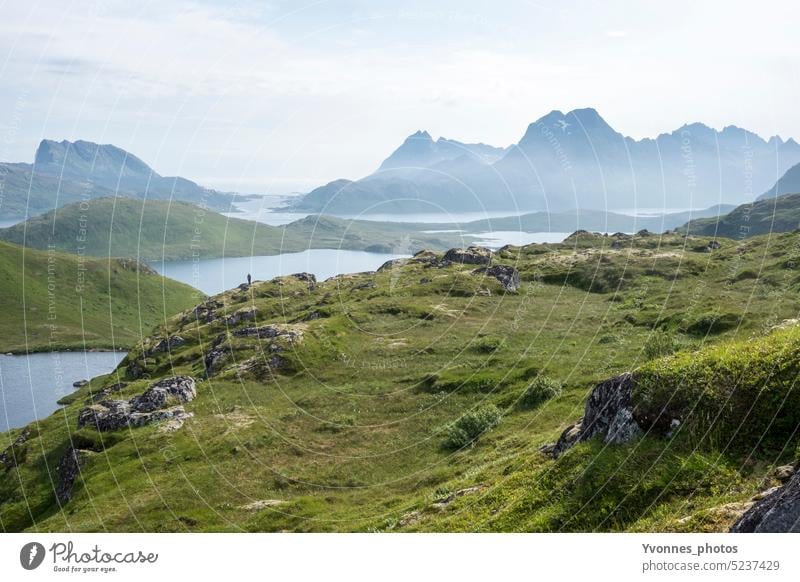 Lonely landscape with hiker in Norway Lofoten Lofotes hikers Scandinavia Loneliness Landscape ryten Fjord Mountain Hiking Adventure Summer Deserted